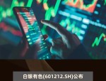 白银有色（601212）8月5日主力资金净买入3377.49万元