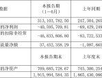 气派科技（688216）8月5日主力资金净买入24.52万元